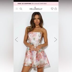 Hello Molly Pretty Painting Mini Dress BNWT